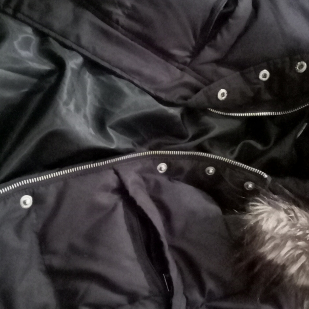 Jacket - Picture 7 of 8
